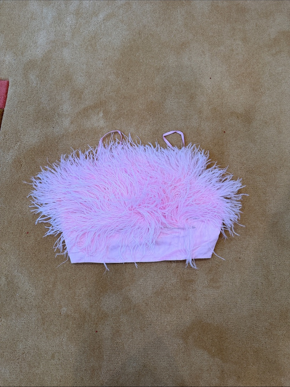 SLEEPER Pink Feather Trim Crop Top